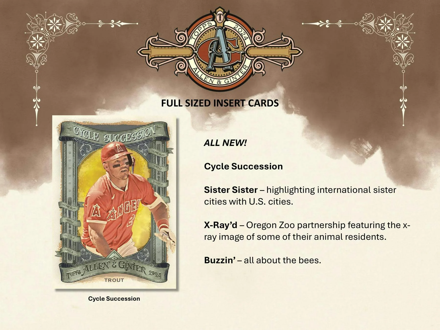2024 Topps Allen & Ginter Baseball Hobby Box - Image 9